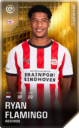 Ryan Flamingo - limited