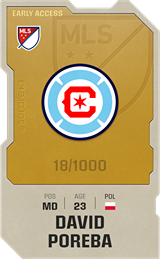 Dawid Poręba - limited