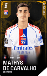 Mathys de Carvalho - limited