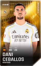 Dani Ceballos - limited
