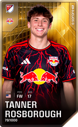 Tanner Rosborough - limited