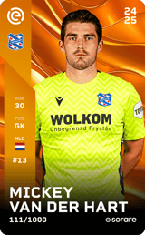 Mickey van der Hart - limited