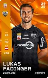 Lukas Fadinger - limited