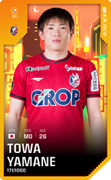 Towa Yamane - limited