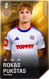 Rokas Pukštas - limited