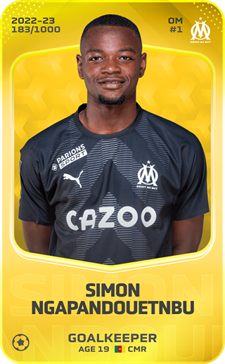 Simon Ngapandouetnbu - limited