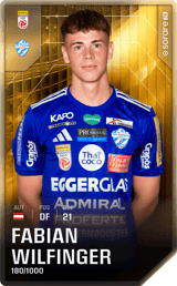 Fabian Wilfinger - limited