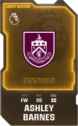 Ashley Barnes - limited