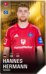 Hannes Hermann - limited