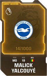 Malick Yalcouyé - limited