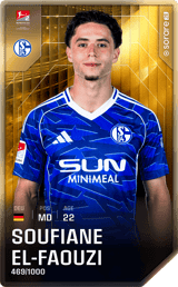 Soufian El-Faouzi - limited