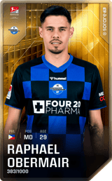 Raphael Obermair - limited