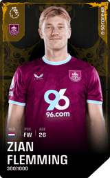 Zian Flemming - limited