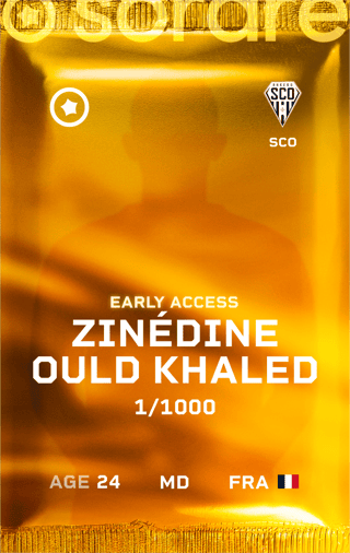 Zinédine Ould Khaled