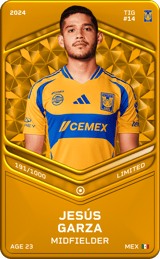 Jesús Garza - limited
