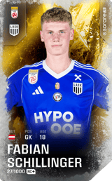 Fabian Schillinger - limited