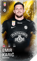 Emir Karic - limited