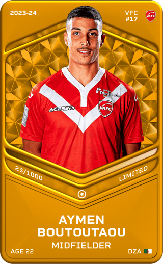 Aymen Boutoutaou - limited