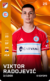 Viktor Radojević - limited