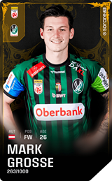 Mark Große - limited