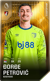 Đorđe Petrović - limited