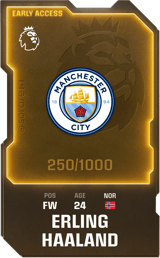 Erling Haaland - limited