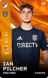 Ian Pilcher - limited