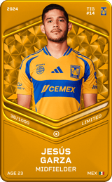 Jesús Garza - limited