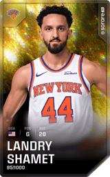 Landry Shamet - limited