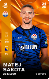 Matej Šakota - limited
