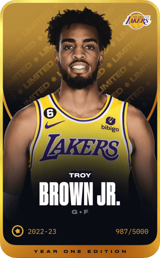 Troy Brown Jr. - limited