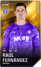 Raúl Fernández - limited