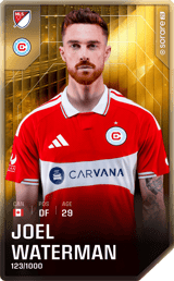 Joel Waterman - limited