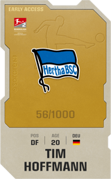 Tim Hoffmann - limited