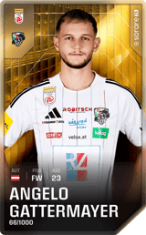 Angelo Gattermayer - limited