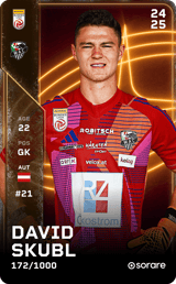David Skubl - limited