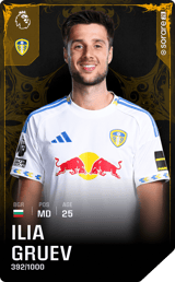 Ilia Gruev - limited