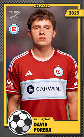 Dawid Poręba - limited