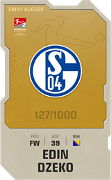 Edin Džeko - limited