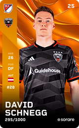 David Schnegg - limited