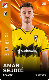 Amar Sejdić - limited