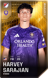 Harvey Sarajian - limited