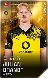 Julian Brandt - limited