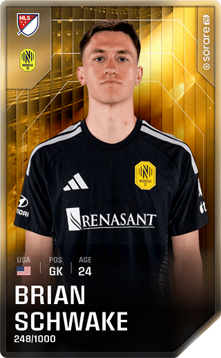 Brian Schwake - limited