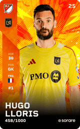 Hugo Lloris - limited