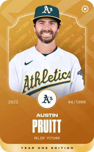 Austin Pruitt - limited