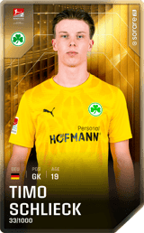 Timo Schlieck - limited