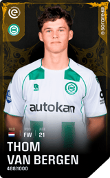 Thom van Bergen - limited