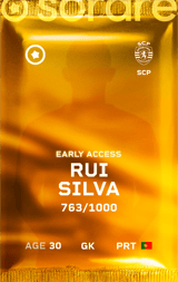 Rui Silva - limited