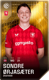 Sondre Ørjasæter - limited